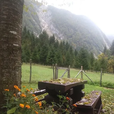 Cottage Lepena *