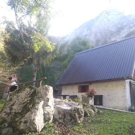Cottage Lepena *